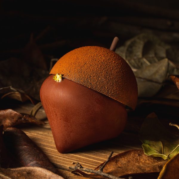 Acorn (Autumn Edition)